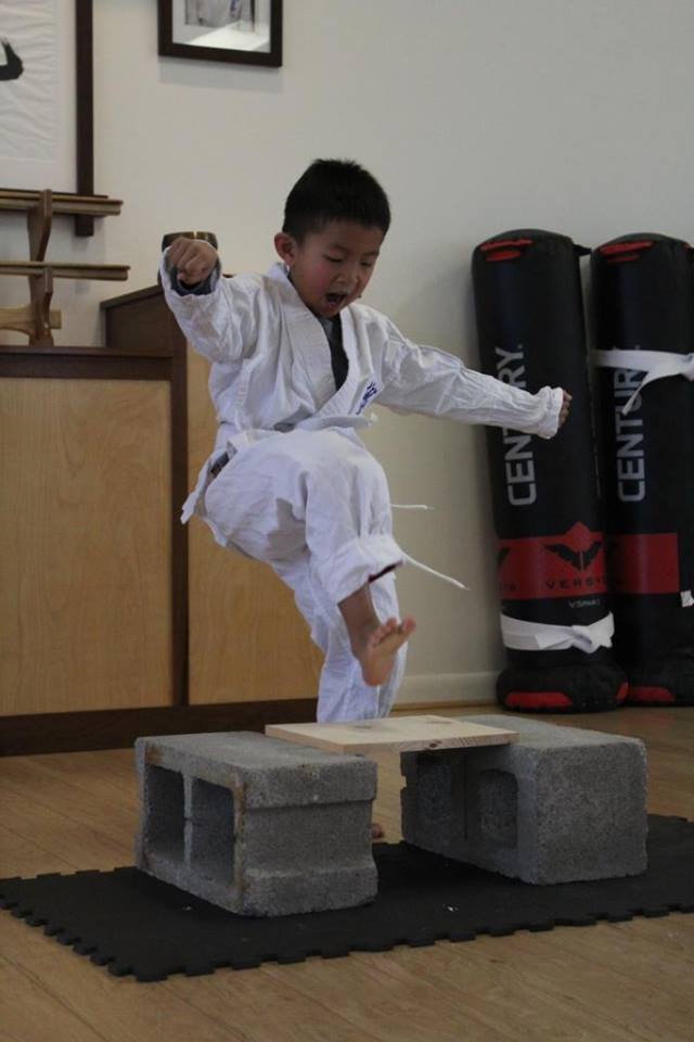 Self-Defense and Confidence Cayuga Lake Seido Karate, Lansing, NY