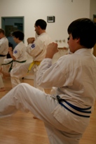 Concentration and Self-Discipline Cayuga Lake Seido Karate, Lansing, NY