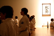 Improved Memory and Concentration Cayuga Lake Seido Karate, Lansing, NY