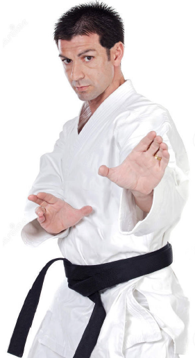 adult male in martial arts stance
