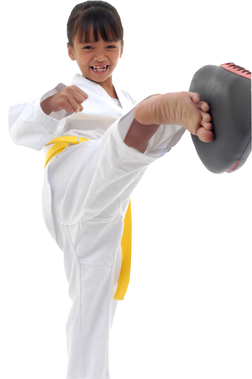 Children karate classes - Macomb