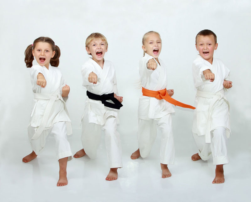 kids martial arts in south east calgary