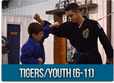 Tigers / Youth  