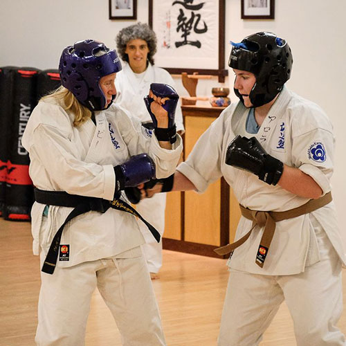Adults Karate Program at Cayuga Lake Seido Karate, Lansing, NY