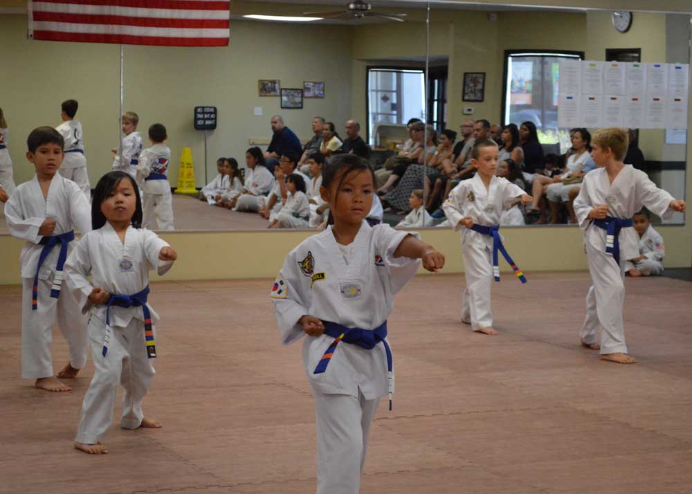 Taekwondo Class at Legacy Martial Arts Training