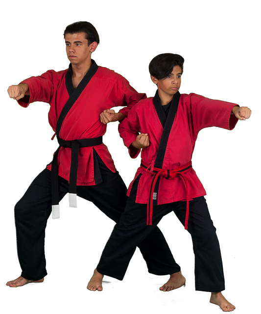 karate kid miniplay