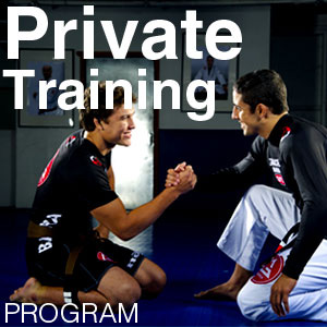 Gracie Barra Private Training